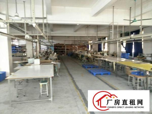
凤岗沙岭车站独院厂房出租，四层3600平方，可分租