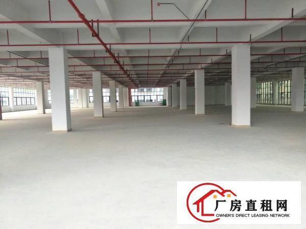 
凤岗高端厂房出租，单层面积4000平方，可分租！
