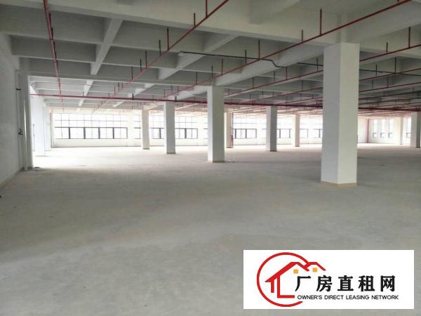 
凤岗高端厂房出租，单层面积4000平方，可分租！