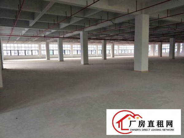 
凤岗高端厂房出租，单层面积4000平方，可分租！