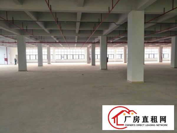 
凤岗高端厂房出租，单层面积4000平方，可分租！
