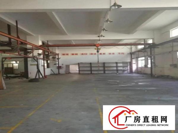 
金凤凰原房东一楼1800平米可分租