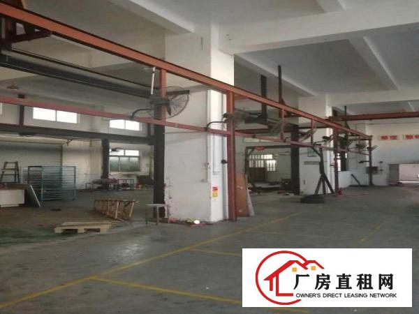 
金凤凰原房东一楼1800平米可分租