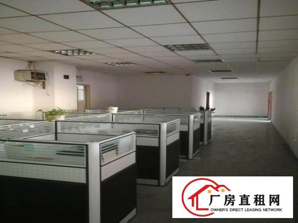 
金凤凰原房东一楼1800平米可分租