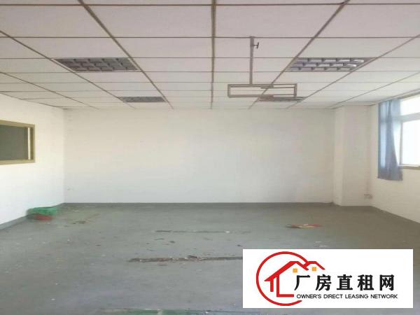 
金凤凰原房东一楼1800平米可分租