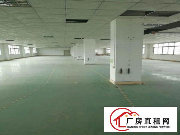 
五联新出3楼厂房3000平米豪华装修