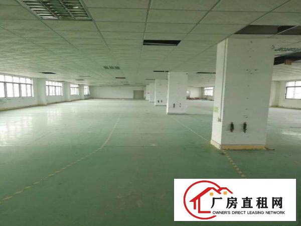 
五联新出3楼厂房3000平米豪华装修