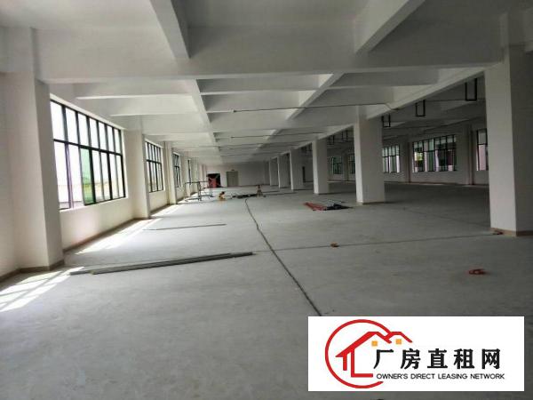 
东莞塘清凤交接处、全新7层厂房火热招租、