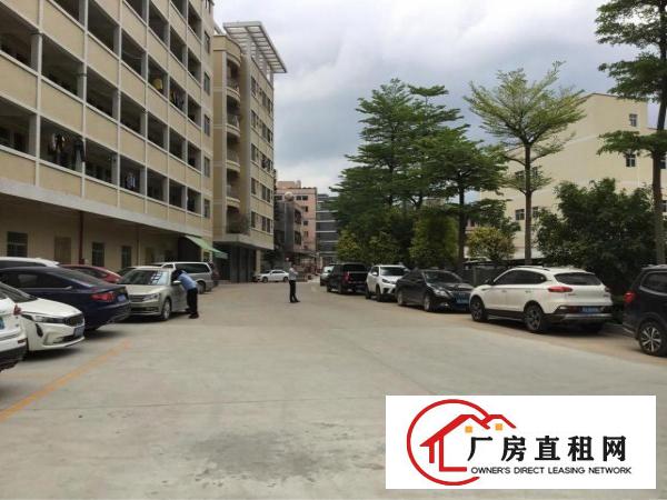 
免佣临深3公里工业区独栋厂房滴水6米可做污染行业