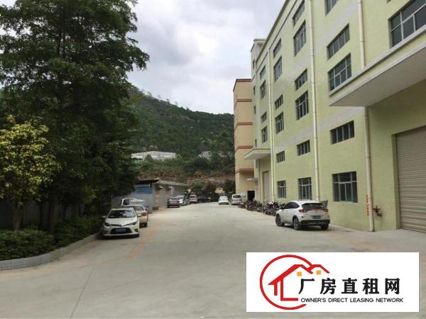 
免佣临深3公里工业区独栋厂房滴水6米可做污染行业