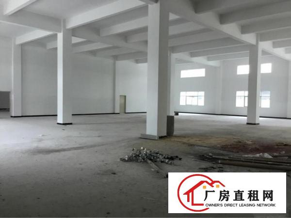 
免佣临深3公里工业区独栋厂房滴水6米可做污染行业