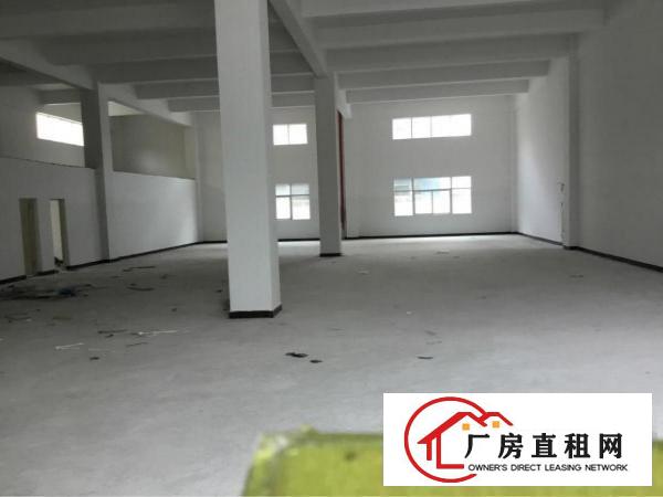 
免佣临深3公里工业区独栋厂房滴水6米可做污染行业