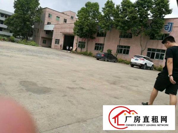 
各类型大小独院标准钢构可分租