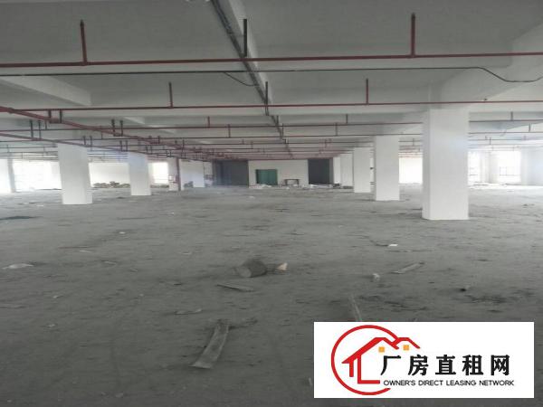 
全新厂房一楼楼上大小可分