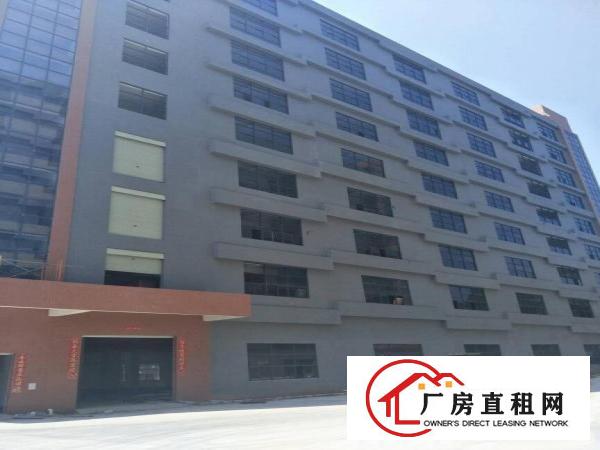 
全新厂房一楼楼上大小可分