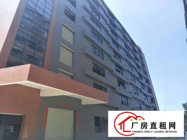 
全新厂房一楼楼上大小可分