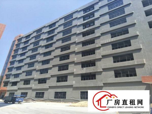 
全新厂房一楼楼上大小可分