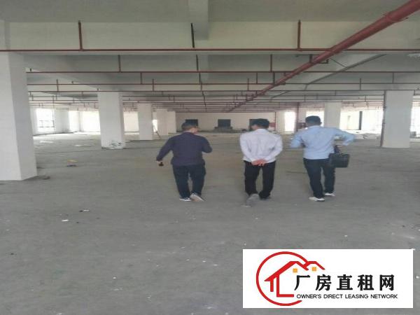 
全新厂房一楼楼上大小可分