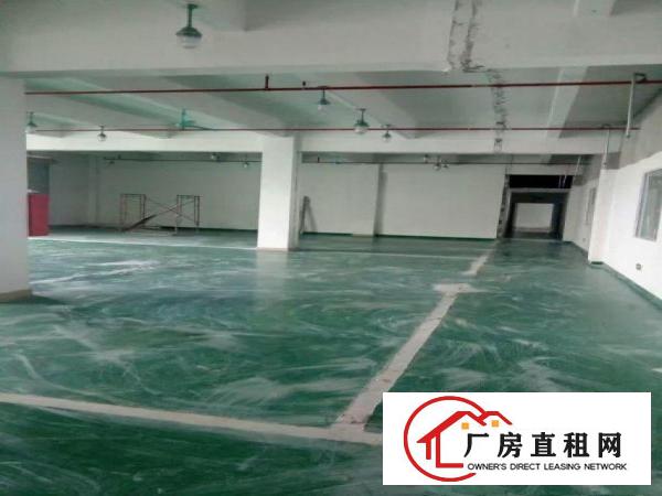
多个一楼1000楼上3000平现成装修