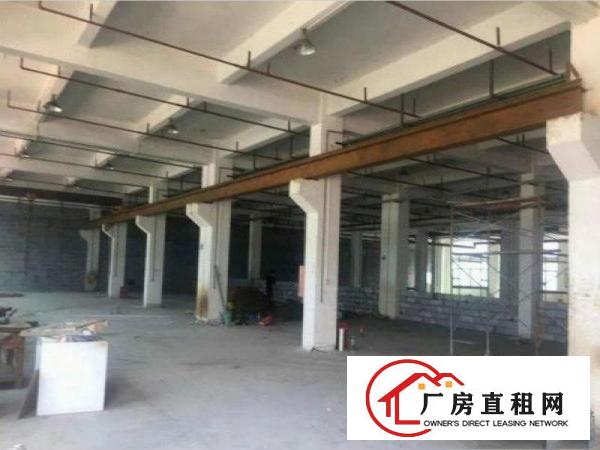 
急租！7米高凤岗一楼2000平方米厂房出租