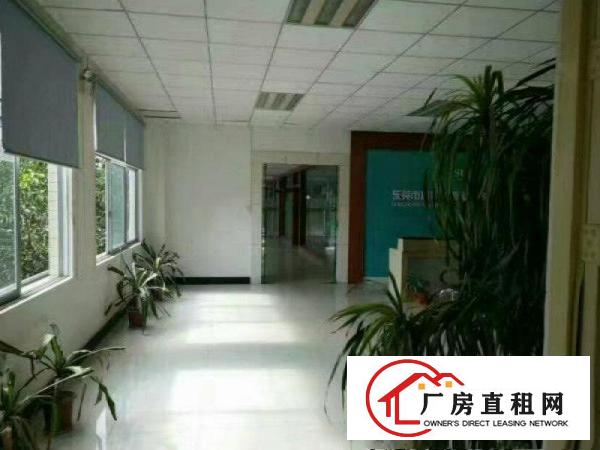 
凤岗黄洞一楼2300平方厂房出租，豪华装修办公室