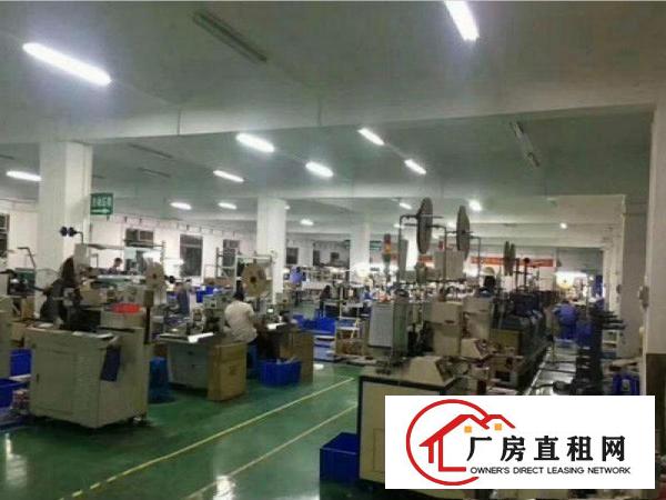 
凤岗黄洞一楼2300平方厂房出租，豪华装修办公室