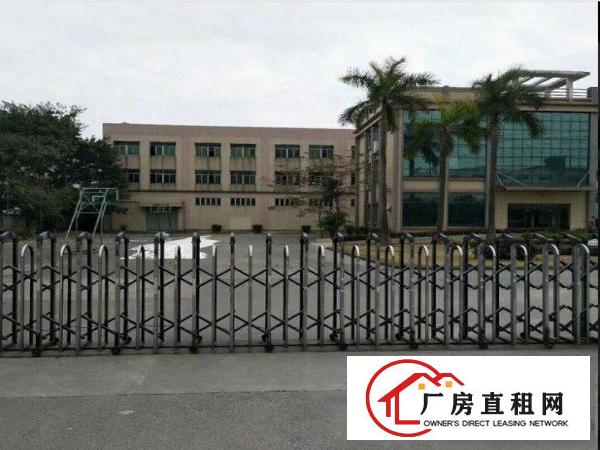 
凤岗雁田军民路花园式独院厂房出租