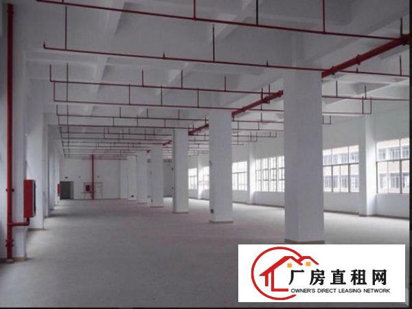 
凤岗6.5米高一楼1500厂房出租做塑胶机械五金