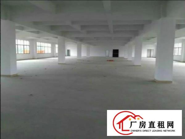 
凤岗竹尾田独院8500平厂房出租原家具厂房有环评