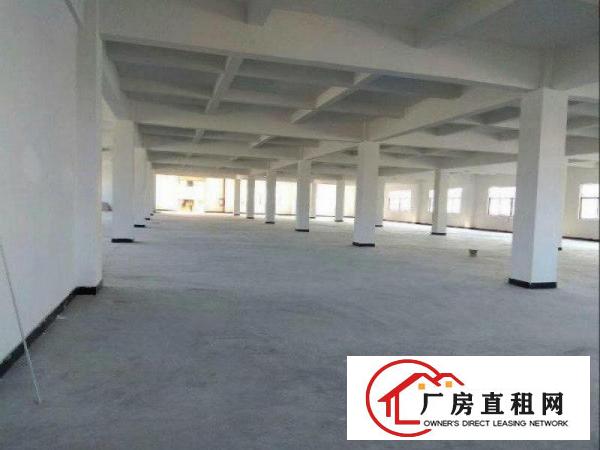 
凤岗竹尾田独院8500平厂房出租原家具厂房有环评