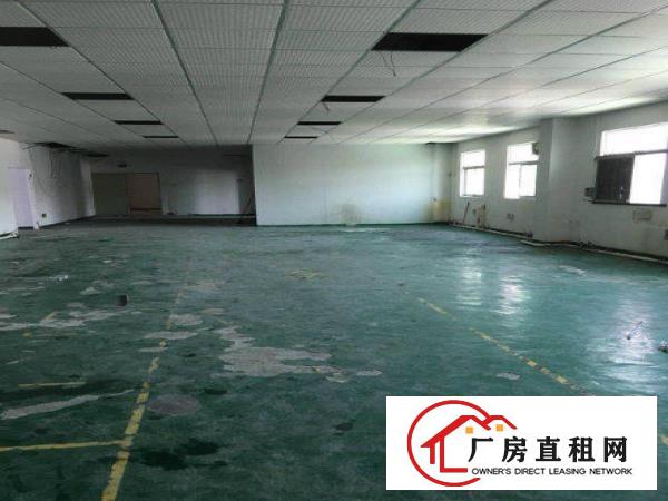 
急租！凤岗五联成熟工业园新出一二楼厂房出租