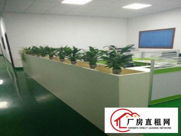 
急租！凤岗镇凤德岭成熟工业园1600平楼上厂房出租