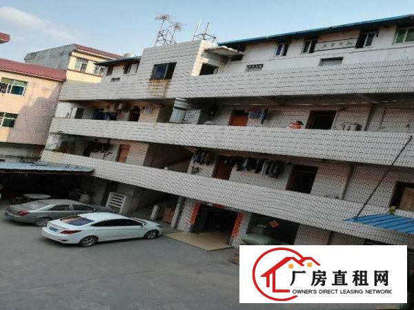 
凤岗五联大道出租标准厂房楼上800平方，近深圳观澜