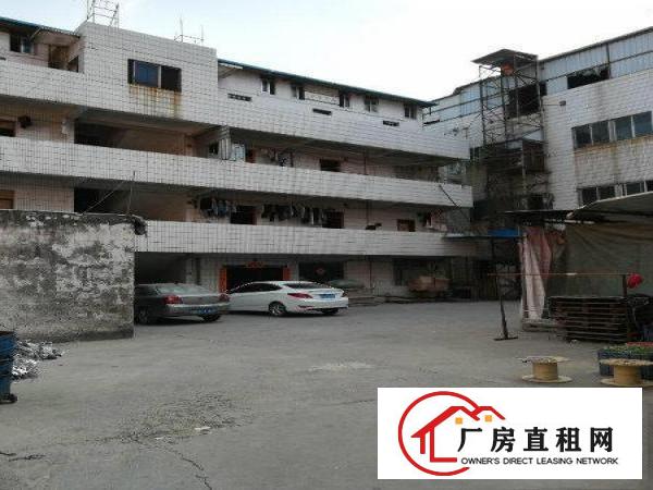 
凤岗五联大道出租标准厂房楼上800平方，近深圳观澜