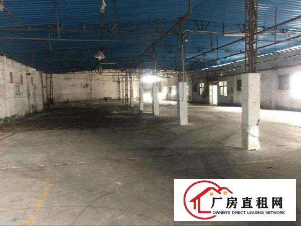 
凤岗五联新空出独院单一层钢构厂房3200平，近深圳