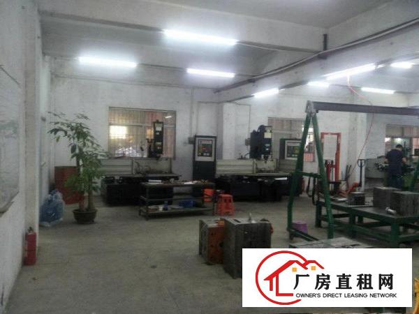 
凤岗竹塘工业园新空出标准一楼450平方，适合五塑胶
