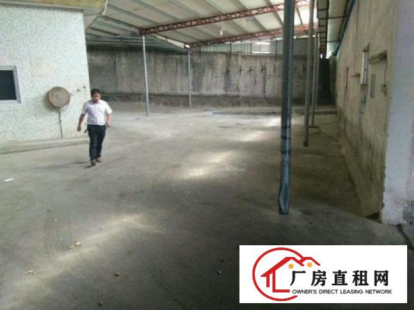 
凤岗金凤凰适合废品喷油单一层钢构厂房出租1200平