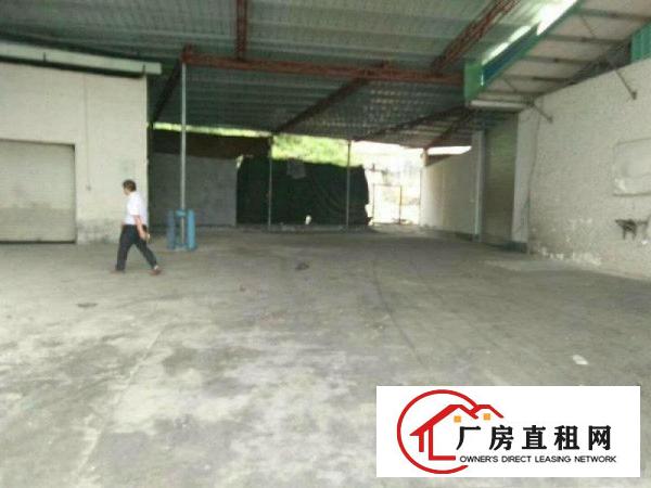 
凤岗金凤凰适合废品喷油单一层钢构厂房出租1200平