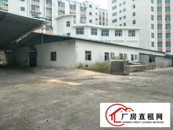 
凤岗金凤凰适合废品喷油单一层钢构厂房出租1200平