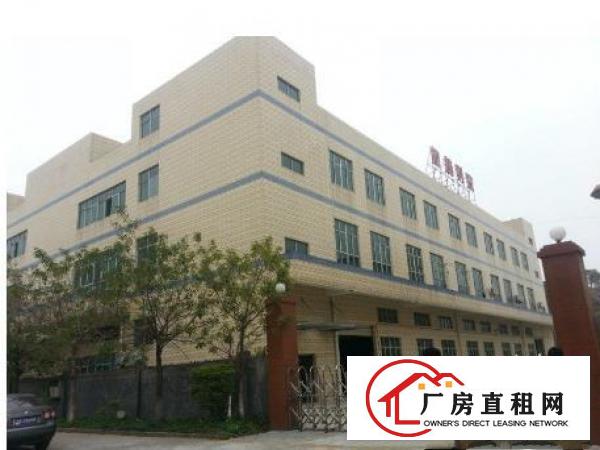 
凤岗黄洞楼上1500平带装修无转让费