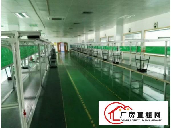 
凤岗油甘埔带豪华装修1200厂房招租