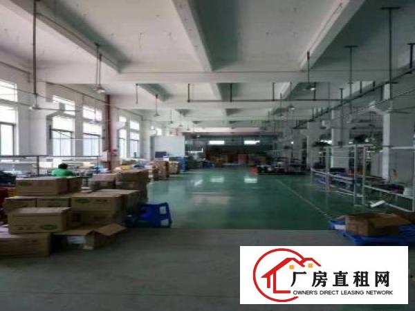 
凤岗竹塘独门独院3200平方厂房招租