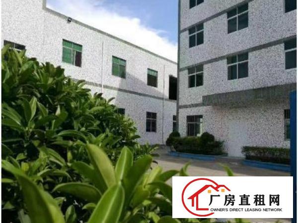 
凤岗塘沥2500平方米厂房出租水电按需