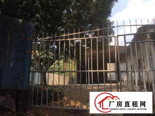 
凤岗靠龙岗独院单一层厂房1080平米出租