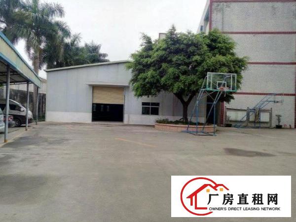 
凤岗天堂围单一层钢构厂房急租1000平方，靠近观澜