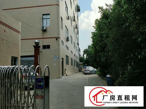 
凤岗雁田新空出楼上业主电子、手袋厂房出租650平方