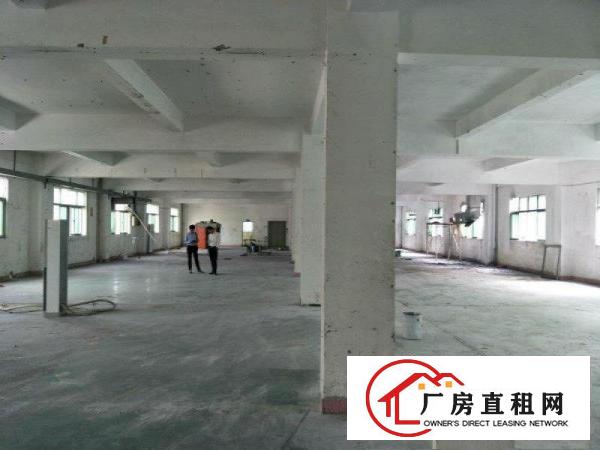 
凤岗竹塘业主标准一楼厂房出租1500平方，价格便宜