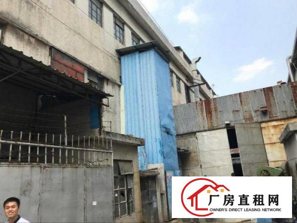 
凤岗油甘埔刚空出独门独院三层厂房出租3800平方