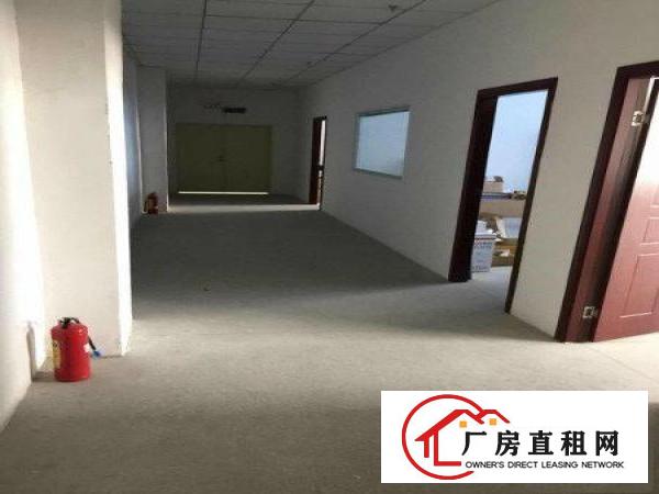 
凤岗金凤凰楼上精装修厂房出租900平方，价格便宜