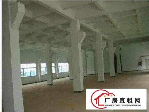 
凤岗镇塘沥新出一楼550平方带装修空地大厂房出租